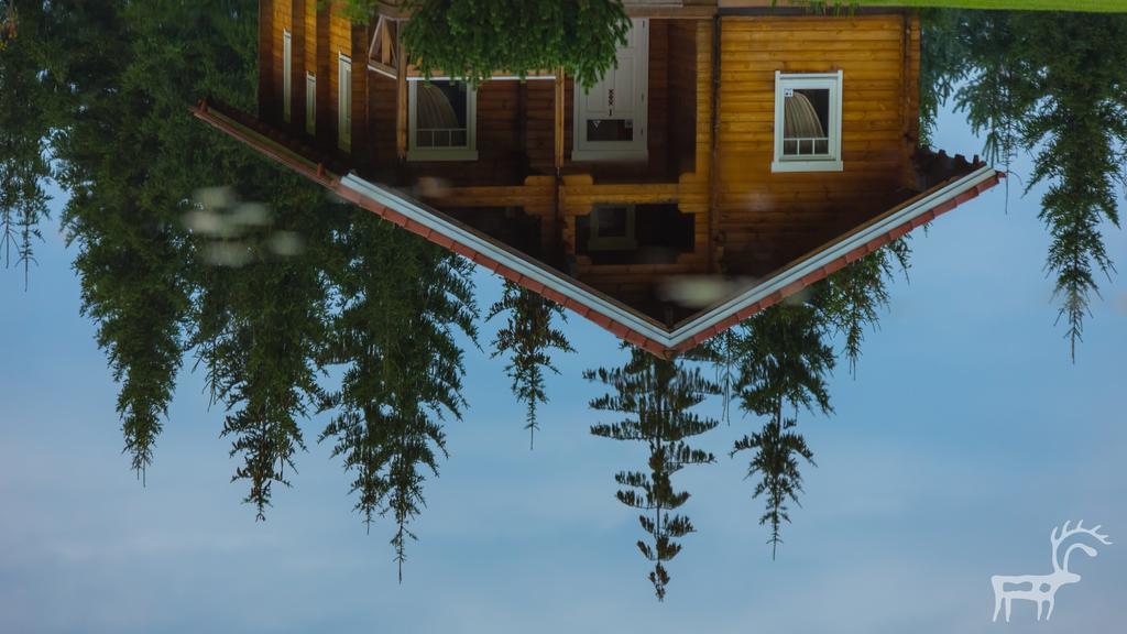 Viesu Majas Briedisi Raiskums Exterior foto