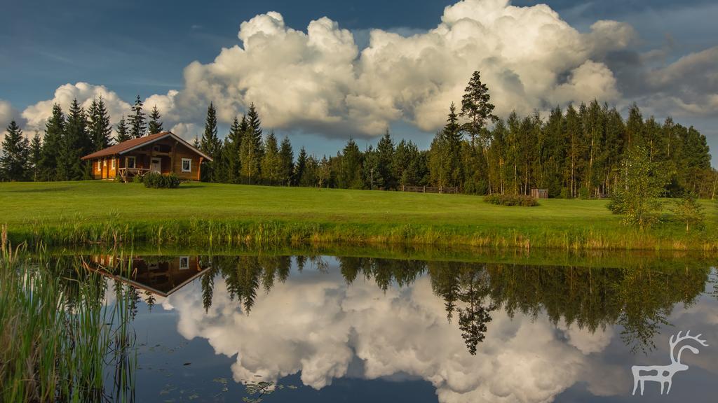 Viesu Majas Briedisi Raiskums Quarto foto