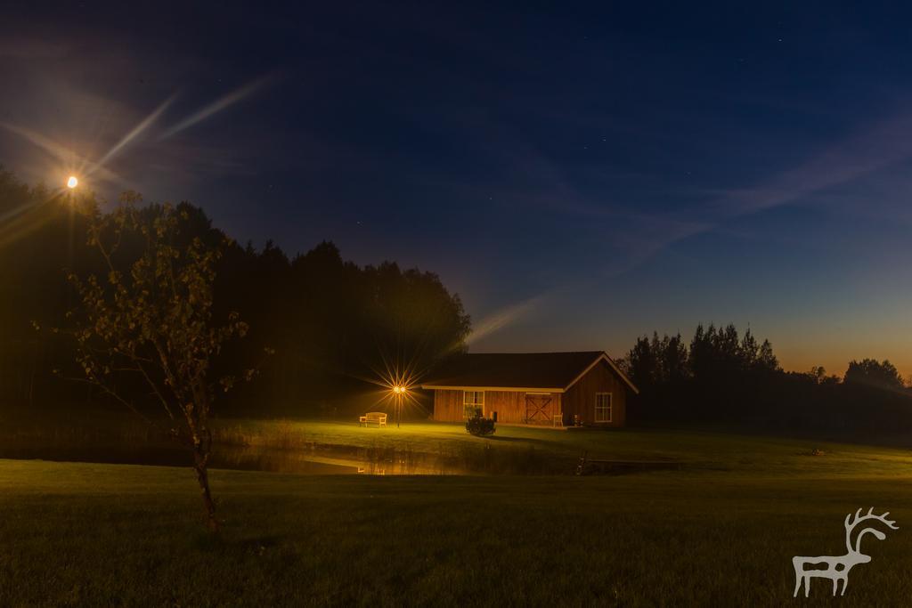 Viesu Majas Briedisi Raiskums Exterior foto