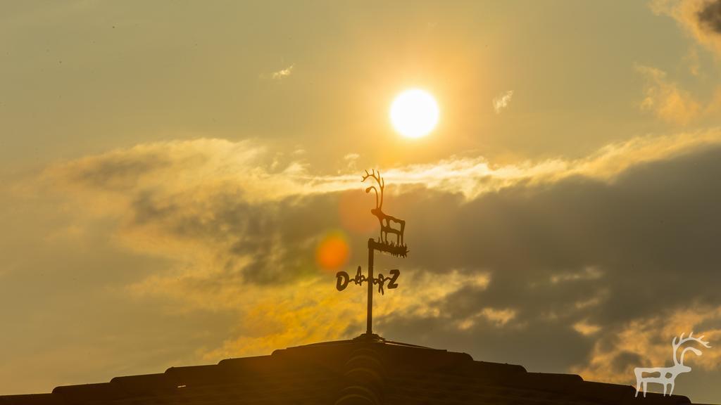 Viesu Majas Briedisi Raiskums Exterior foto