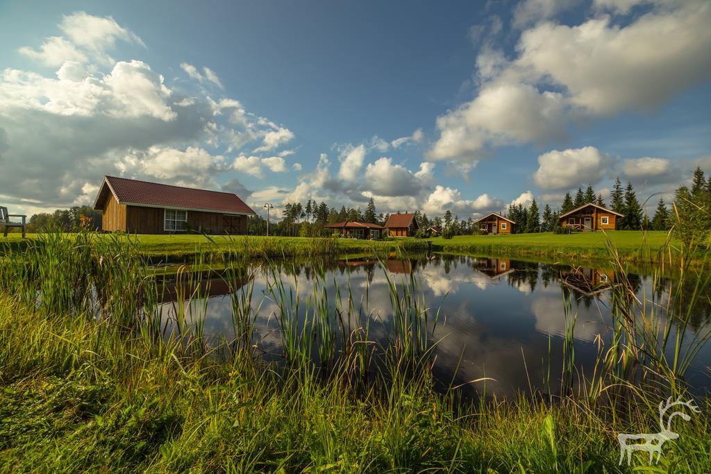 Viesu Majas Briedisi Raiskums Exterior foto