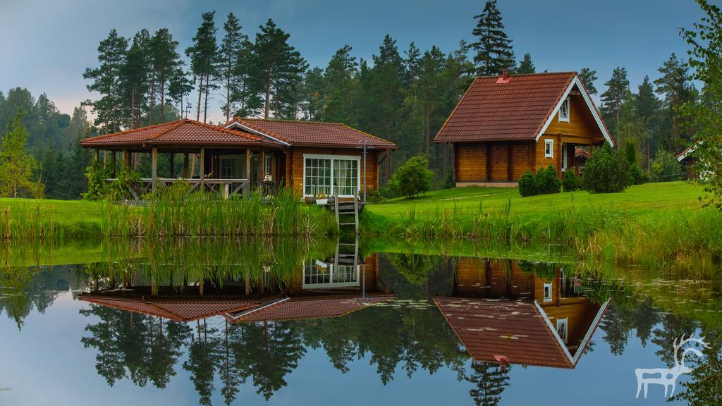 Viesu Majas Briedisi Raiskums Quarto foto