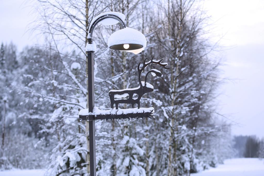 Viesu Majas Briedisi Raiskums Exterior foto