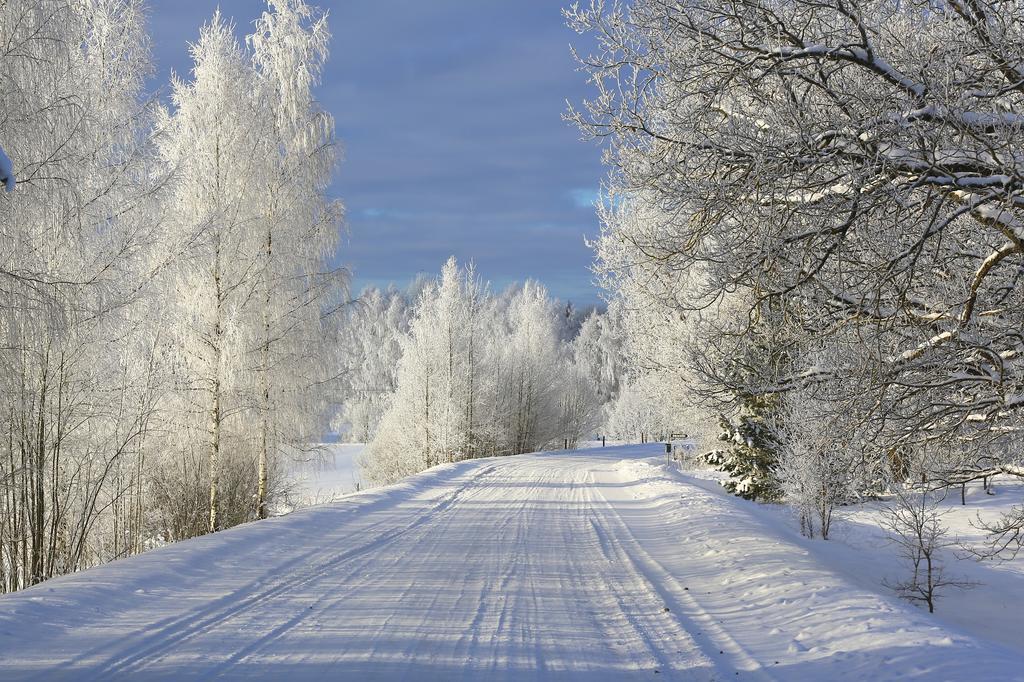 Viesu Majas Briedisi Raiskums Exterior foto
